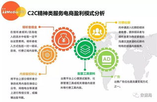 2017上半年中國精神類服務(wù)電商市場研究報(bào)告 信息咨詢服務(wù)分析